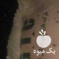 فروش برنج GTC در رشت در گروه خرید فروش عمده برنج - نیم دانه عنبر بو هاشمی کاظمی هندی پاکستانی در یکمیوه