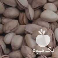 فروش پسته تازه خندان در دامغان در گروه پسته - کوهی شامی خام اکبری تازه کله قوچی در یکمیوه