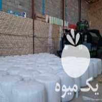 فروش سیلاژ و بسته بندی علوفه در مشهد در گروه خرید فروش لوازم بسته بندی - انواع تجهیزات در یکمیوه