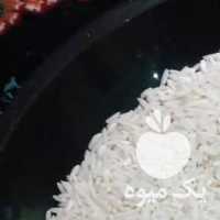 فروش 100 کیلو برنج علی کاظمی برای کشت امسال در رشت در گروه خرید فروش عمده برنج - نیم دانه عنبر بو هاشمی کاظمی هندی پاکستانی در یکمیوه