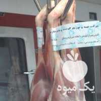 فروش گوشت کهره و بره و گوشت بدون استخوان گوسفندی در شیراز در گروه گاو و گوسفند و میش و بز کهره گوساله سمینتال در یکمیوه