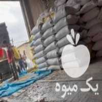 فروش بذر گندم کلاته بوجاری شده در گنبد کاووس در گروه خرید فروش بذر - انواع محصول کشاورزی گوجه کتان میوه درخت در یکمیوه