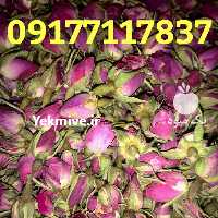 فروش غنچه گل محمدی در فارس در گروه خرید فروش عمده گیاهان زینتی - گرمسیری آپارتمانی باغچه آب در یکمیوه