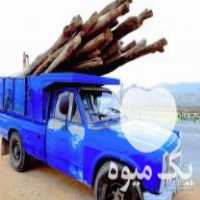 خریدار انواع چوب در کرمانشاه در گروه خرید فروش عمده چوب- زغال چوب گردو تبریزی خام در یکمیوه