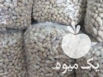 فروش پوست غلاف بادام زمینی در اشتهارد در گروه بادام - درختی کوهی زمینی فروش عمده در یکمیوه -عکس1