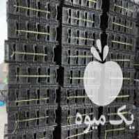 فروش شانه و سبد میوه در نکا در گروه خرید فروش انواع سبد - میوه پلاستیکی چوبی گل در یکمیوه