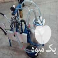 فروش شیردوش تسمه ای و آسیاب دامی در قم در گروه تجهیزات دام و طیور - خرید فروش نو دسته دوم در یکمیوه