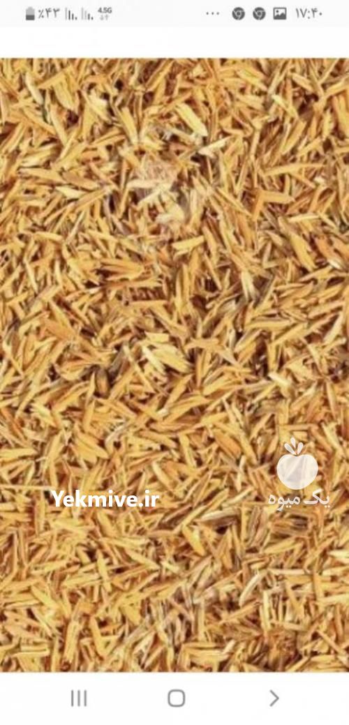 خرید و فروش یونجه درجه یک ،  پودر یونجه ،  سیلاژ یونجه در قزوین در گروه خوراک دام و طیور - پرواری شیری علوفه یونجه در یکمیوه -عکس1