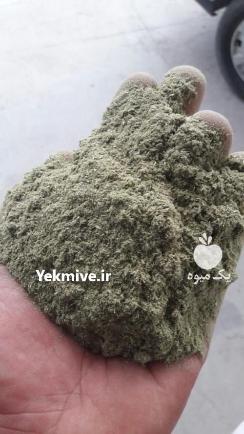 خرید و فروش یونجه درجه یک ،  پودر یونجه ،  سیلاژ یونجه در قزوین در گروه خوراک دام و طیور - پرواری شیری علوفه یونجه در یکمیوه -عکس2