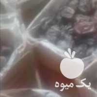 فروش خرما اهرم در بوشهر در گروه خرید فروش عمده خرما - کبکاب تازه زاهدی خشک خارک در یکمیوه