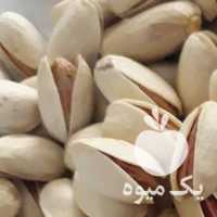 فروش پسته احمد آقایی در تهران در گروه پسته - کوهی شامی خام اکبری تازه کله قوچی در یکمیوه