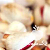 فروش پسته دامغان سال 1400 در تهران در گروه پسته - کوهی شامی خام اکبری تازه کله قوچی در یکمیوه