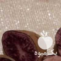 فروش سیب زمینی بنفش در اردبیل در گروه خرید فروش عمده سیب زمینی - زودرس دیررس آگریا اسپریت اردبیل همدان در یکمیوه