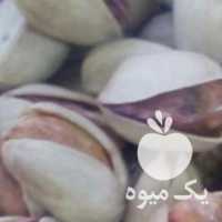 فروش انواع پسته امسالی به صورت عمده و خرده در تهران در گروه پسته - کوهی شامی خام اکبری تازه کله قوچی در یکمیوه