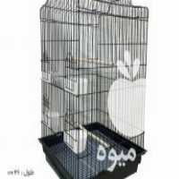 فروش ملزومات حیوانات خانگی در اصفهان در گروه سگ و گربه _ نگهبان هاسکی ژرمن دوبرمن سرابی در یکمیوه