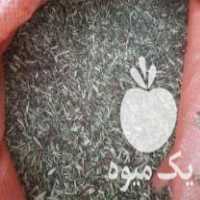 فروش کاه خارشتر در بهمن در گروه خوراک دام و طیور - پرواری شیری علوفه یونجه در یکمیوه