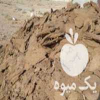 فروش کود گاوی و گوسفندی در رفسنجان در گروه خرید فروش کود و مواد شیمیایی - اوره پتاس مرغی کمپوست آهن در یکمیوه