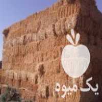 فروش کاه گندم وپرس کاه برنج وپرس بزرگ کلزاوخارشتر در سمنان در گروه خرید فروش عمده برنج - نیم دانه عنبر بو هاشمی کاظمی هندی پاکستانی در یکمیوه