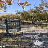 فروش سیب دماوند ارگانیک در تهران در گروه خرید فروش کود و مواد شیمیایی - اوره پتاس مرغی کمپوست آهن در یکمیوه