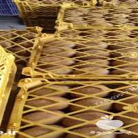 فروش کیوی در تنکابن در گروه خرید فروش عمده کیوی - صادراتی مازندران تنکابن تالش در یکمیوه