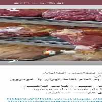 فروش پخش عمده انواع گوشت و مرغ تازه ، ماهی و میگوی دریایی در تهران در گروه انواع ماهی - سالمون شیر کپور قرمز شوریده سفید گوپی مرکب در یکمیوه