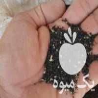 فروش بذر پیاز قرمز در کرمانشاه در گروه خرید فروش عمده پیاز - قرمز سفید زرد ترشی تازه انباری در یکمیوه