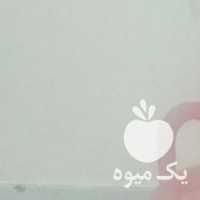 فروش آب زرشک ارگانیک بدون هیچ گونه افزودنی در بیرجند در گروه خرید فروش ابزار ها و تجهیزات کشاورزی - دستی برقی ماشینی بیل کلنگ در یکمیوه