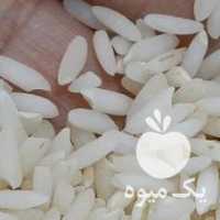 فروش برنج عنبر بو شوشتر و خرما در اهواز در گروه خرید فروش عمده برنج - نیم دانه عنبر بو هاشمی کاظمی هندی پاکستانی در یکمیوه
