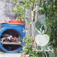 فروش گل‌ کاکتوس در سایز های مختلف در تهران در گروه خرید فروش عمده گیاهان زینتی - گرمسیری آپارتمانی باغچه آب در یکمیوه