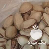 فروش پسته رفسنجان در قم در گروه پسته - کوهی شامی خام اکبری تازه کله قوچی در یکمیوه