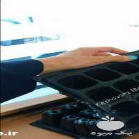 فروش سینی نشا در تهران در گروه خرید فروش نشا - انواع گوجه برنج کاهو پیاز کاری فرنگی در یکمیوه