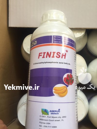 اتفون وفینیش در شیراز در گروه خرید فروش عمده گوجه فرنگی - فرنگی سبز قرمز سیاه کبابی ربی در یکمیوه