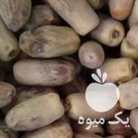 فروش خرما سفید قند شکن در کرمان  در گروه خرید فروش عمده خرما - کبکاب تازه زاهدی خشک خارک در یکمیوه