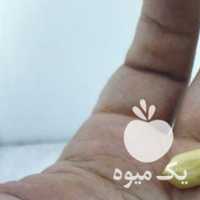 فروش بادام زمینی پسته شامی آستانه 1400 در تهران در گروه بادام - درختی کوهی زمینی فروش عمده در یکمیوه