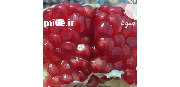 فروش انار صادارتی درجه یک در شیراز در گروه خرید فروش عمده انار - ساوه شیراز شیرین ترش در یکمیوه -عکس1