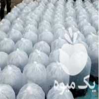 فروش و پخش بچه ماهی کپور طلایی آمور و  ارسال در اصفهان در گروه انواع ماهی - سالمون شیر کپور قرمز شوریده سفید گوپی مرکب در یکمیوه