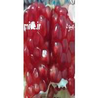 فروش انار صادارتی درجه یک در شیراز در گروه خرید فروش عمده انار - ساوه شیراز شیرین ترش در یکمیوه