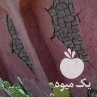 فروش کاکتوس اپونتیا در اصفهان در گروه خرید فروش عمده گیاهان زینتی - گرمسیری آپارتمانی باغچه آب در یکمیوه