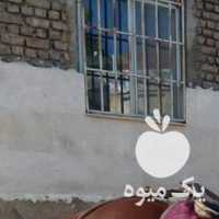 فروش یک راس اسب نریون ترکمن 2 ساله در کرج در گروه اسب و الاغ خر و فروش قاطر- ترکمن عربی سفید نر و ماده در یکمیوه