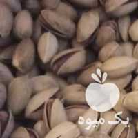 فروش عمده پسته رفسنجان در کرمان  در گروه پسته - کوهی شامی خام اکبری تازه کله قوچی در یکمیوه