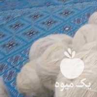 فروش نخ ریسی پشم ریسی پشم گوسفند نخ دست ریس در شیراز در گروه گاو و گوسفند و میش و بز کهره گوساله سمینتال در یکمیوه