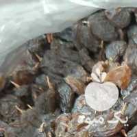 فروش کشمش آفتابی  ،  تازه و بیدانه و درشت تاکستان در تهران در گروه آجیل - فروش عمده محصولات در یکمیوه