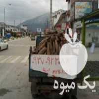 فروش هیزم شومینه در لار در گروه خرید فروش عمده چوب- زغال چوب گردو تبریزی خام در یکمیوه