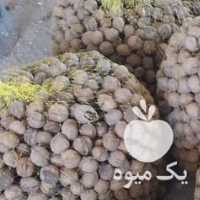 فروش گردو پوست کاغذی شیره انگور و کشمش ملایر در تهران در گروه عسل شیره و فرآورده ی مربا - طبیعی گون کوهی آویشن در یکمیوه