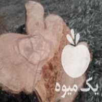 فروش تنه‌‌های درخت زیتون در زنجان در گروه خرید فروش عمده چوب- زغال چوب گردو تبریزی خام در یکمیوه