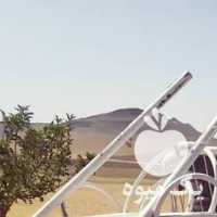 فروش کالسکه تمیز اسب در تهران در گروه اسب و الاغ خر و فروش قاطر- ترکمن عربی سفید نر و ماده در یکمیوه