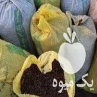 فروش کود گوسفندی در بهمن در گروه خرید فروش کود و مواد شیمیایی - اوره پتاس مرغی کمپوست آهن در یکمیوه