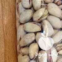 فروش پسته ی اکبری دستچین شور شده در یزد در گروه پسته - کوهی شامی خام اکبری تازه کله قوچی در یکمیوه