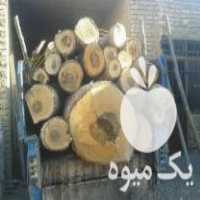 فروش چوب گردو درشت رامبر برای نجاری واسلب در مشهد در گروه خرید فروش عمده چوب- زغال چوب گردو تبریزی خام در یکمیوه