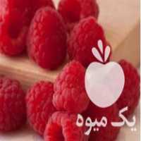 فروش نهال رزبری قرمز انکور در ساری در گروه خرید فروش نهال - انواع گردو پسته بادام سلطانی انگور در یکمیوه